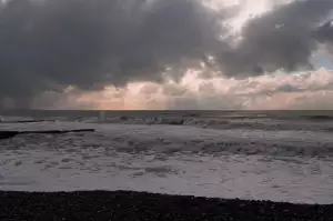 Jaký Strom Zasadit Při Narození Syna